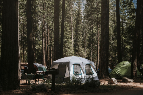 Comment utiliser le savon de nigelle en bivouac ou camping ?