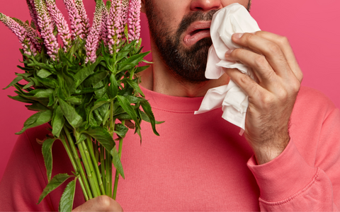 Effet de l’huile de nigelle sur les allergies
