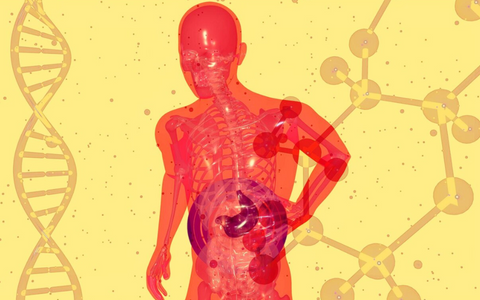 Huile de nigelle un puissant anti-inflammatoire